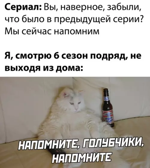 Смешная картинка №533471