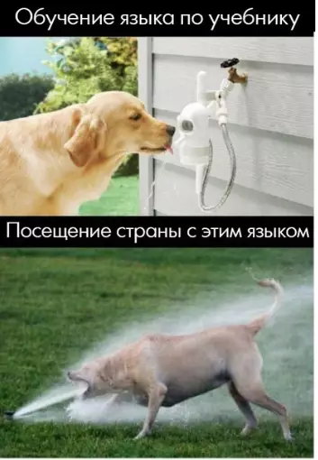 Смешная картинка №341501 Очень жизненнo.