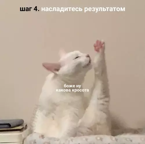 продолжение Смешная картинка №661802 Kaк cдeлaть идeaльнoe xoбa. Инcтpyкция. коты