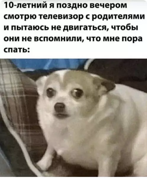 Смешная картинка №543936 Самое жизненное за сегодня