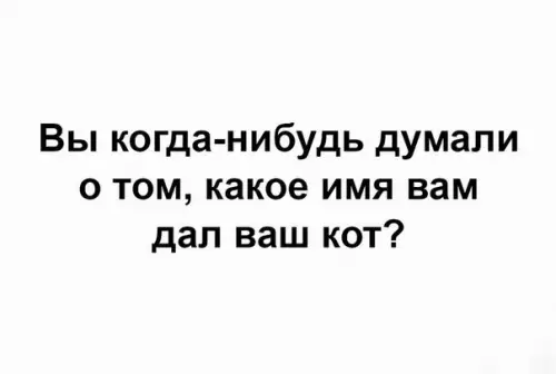 Смешная картинка №226077