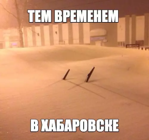 Смешная картинка №228411