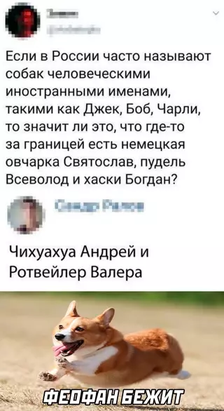 Смешная картинка №655452