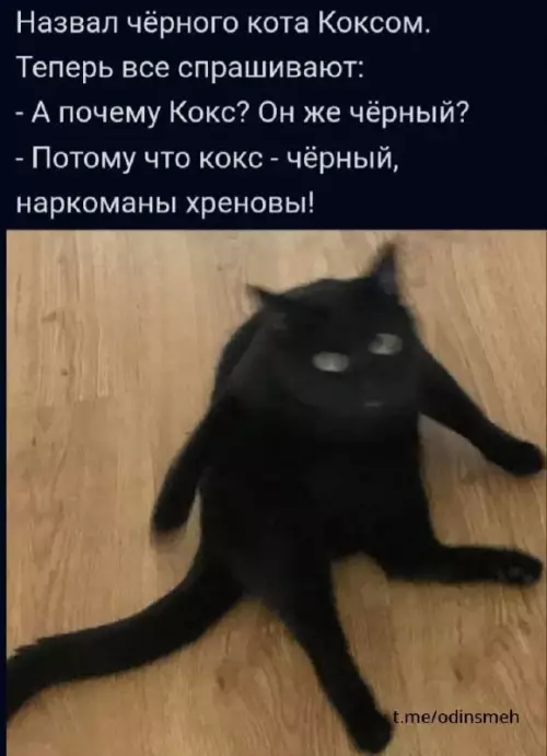 Смешная картинка №666588