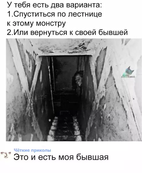 Смешная картинка №301626