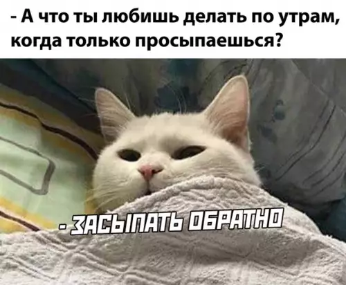 Смешная картинка №510720