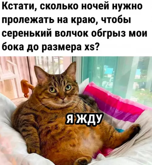 Смешная картинка №660317