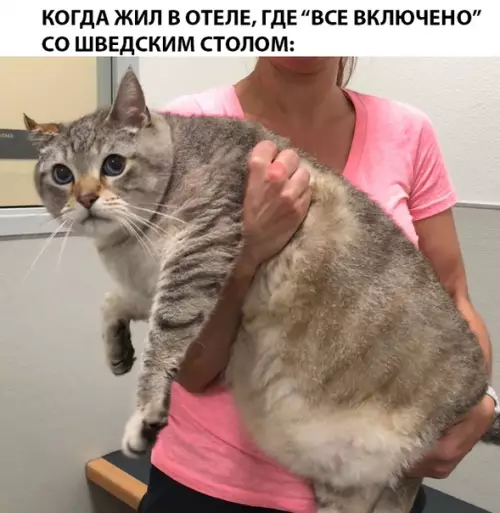 Смешная картинка №295069