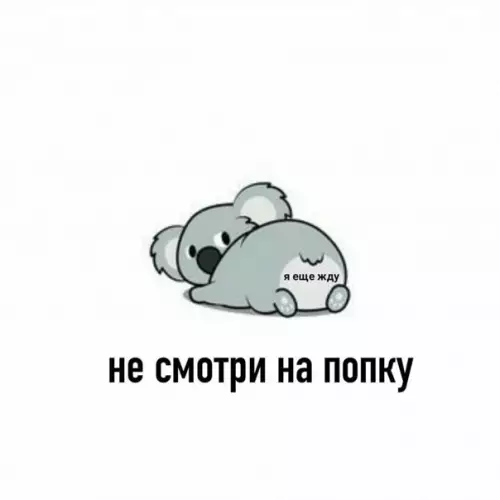 продолжение Смешная картинка №562002 Как-то так