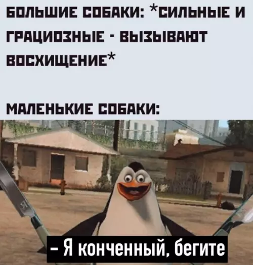 Смешная картинка №521848