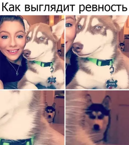 Смешная картинка №268380