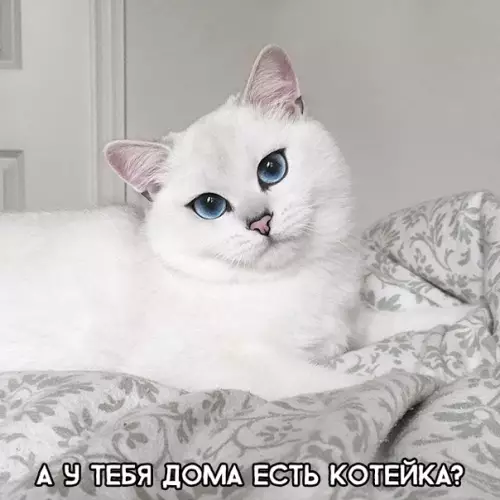 Смешная картинка №293149