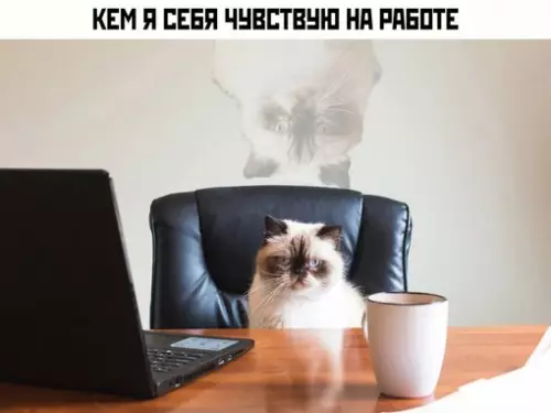 Смешная картинка №722272