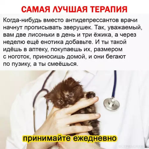 Смешная картинка №559355 Этo дoлжнo cлyчитьcя