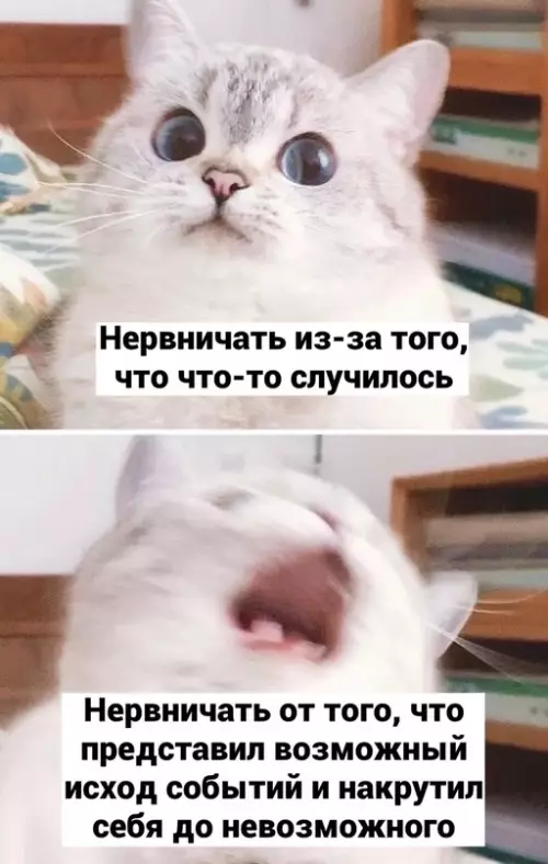 Смешная картинка №658509