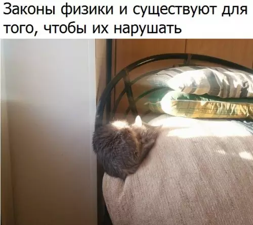 Смешная картинка №230970