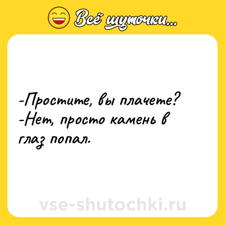Шутка: -Простите, вы плачете? <br>-Нет, просто камень в глаз попал.