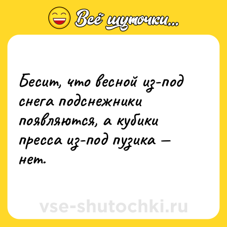 Шутка: Бесит, что весной из-под снега подснежники появляются, а кубики пресса из-под пузика — нет.