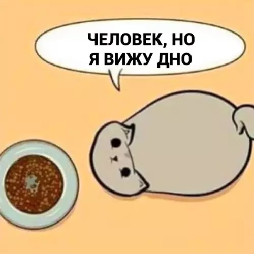 продолжение Смешная картинка №562992 Как-то так