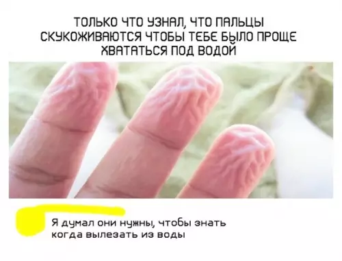 Смешная картинка №382389