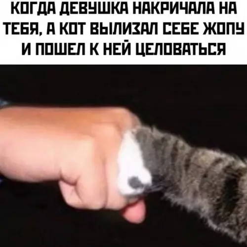 Смешная картинка №781005