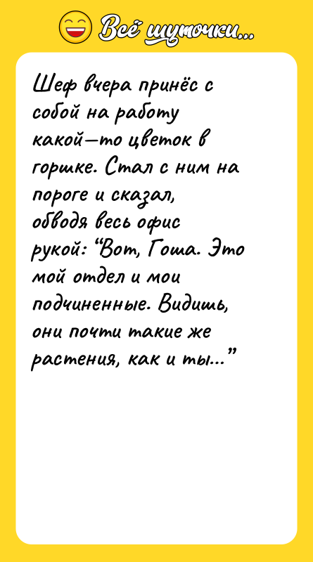 Шеф вчера принёс с собой на работу какой—то цветок в