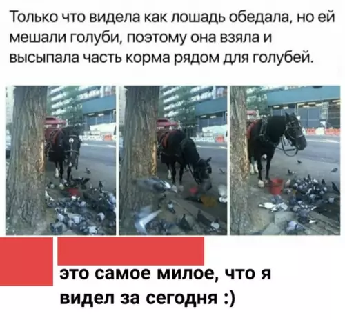Смешная картинка №497130