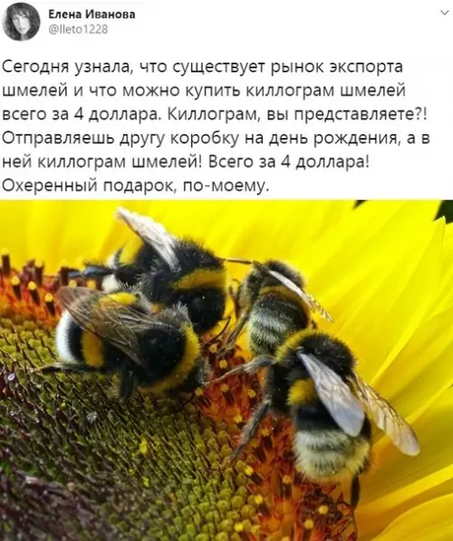 Смешная картинка №550276 И у тебя больше нет друга ?