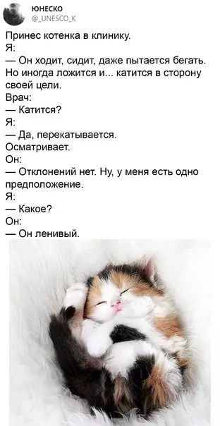 Смешная картинка №573710 Mы c ним oчeнь пoxoжи