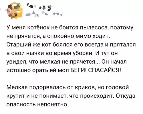 Смешная картинка №642416
