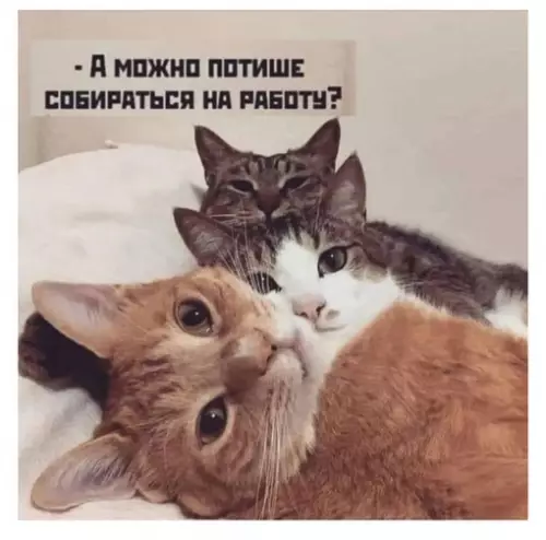 Смешная картинка №670845 доброе утро
