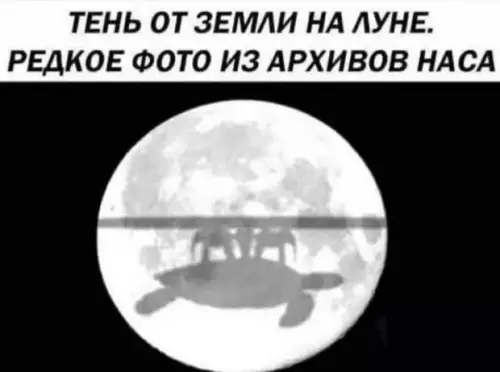 Смешная картинка №661709 шах и мат сторонники круглой земли