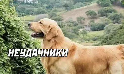 продолжение Смешная картинка №593694