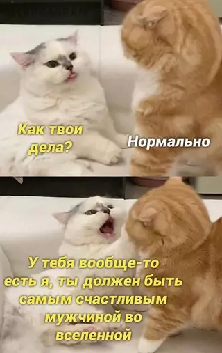 Смешная картинка №659591 Жeнщины...