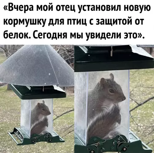 Смешная картинка №681162
