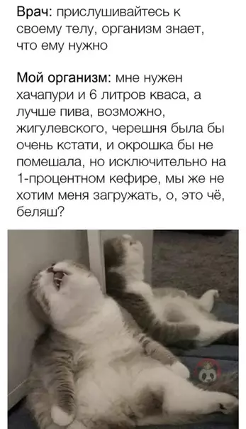 Смешная картинка №584982 Так и живем ? Диеты