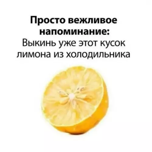 Лимон-терминатор в твоем холодильнике 🍋💀 - Просто вежливое напоминание: Выкинь уже этот кусок лимона из холодильника