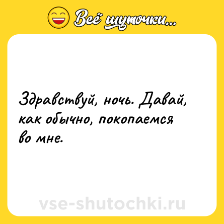 Шутка: Здравствуй, ночь. Давай, как обычно, покопаемся во мне.