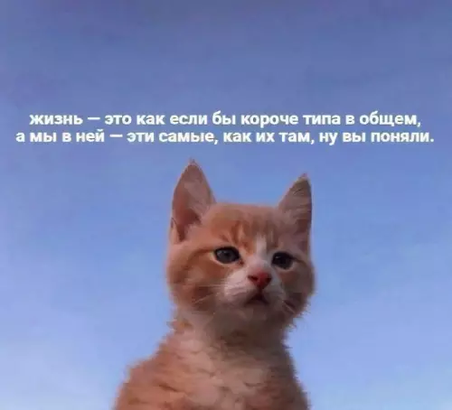 Когда жизнь просто максимально странная 🤔 - жизнь это как если бы короче типа в общем, а