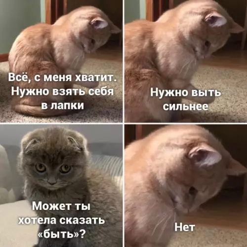 Смешная картинка №653357