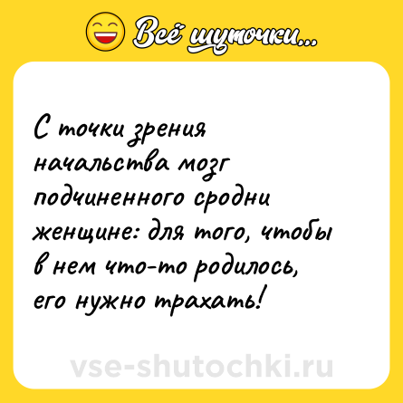 Шутка: С точки зрения начальства мозг подчиненного сродни женщине: для того, чтобы в нем что-то родилось, его нужно трахать!