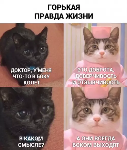 Смешная картинка №447778
