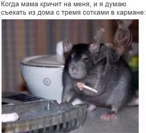 Смешная картинка №246903
