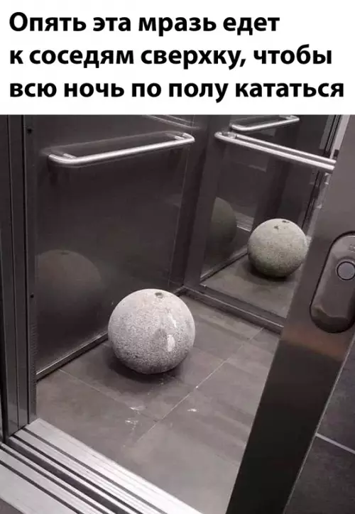 Смешная картинка №666295 Соседи