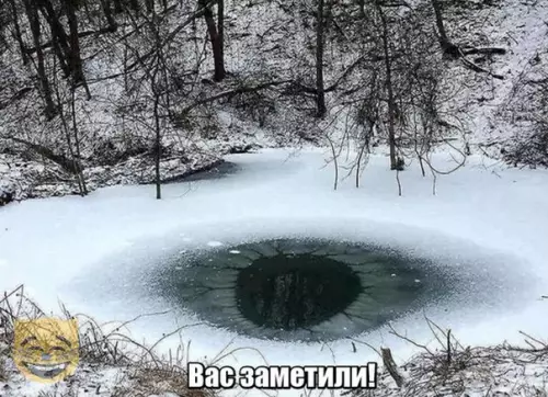 Смешная картинка №329412