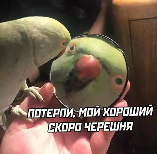 Смешная картинка №644624