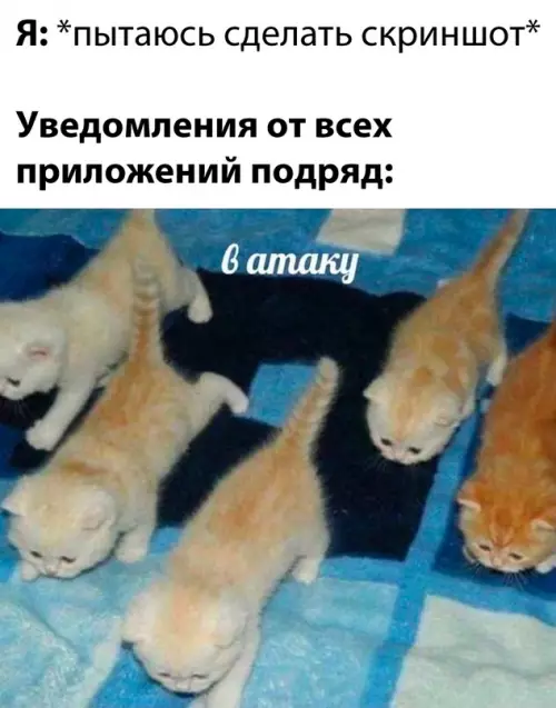 Смешная картинка №687094
