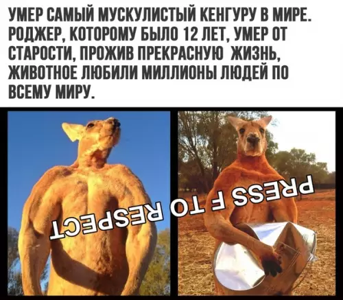 Смешная картинка №318563