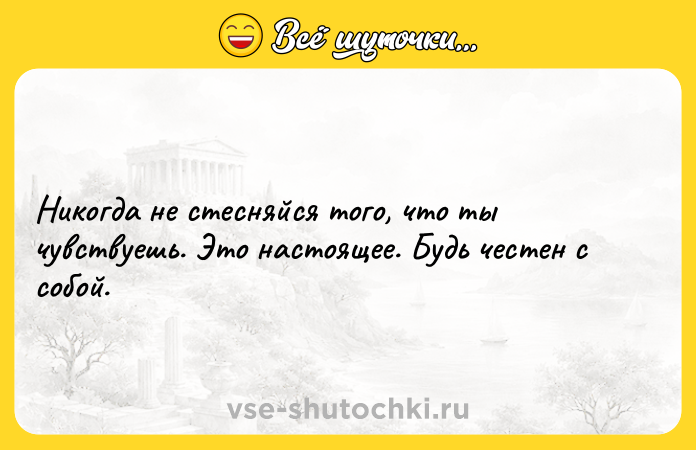 Цитата: Никогда не стесняйся того, что ты чувствуешь. Это настоящее. Будь честен с собой.