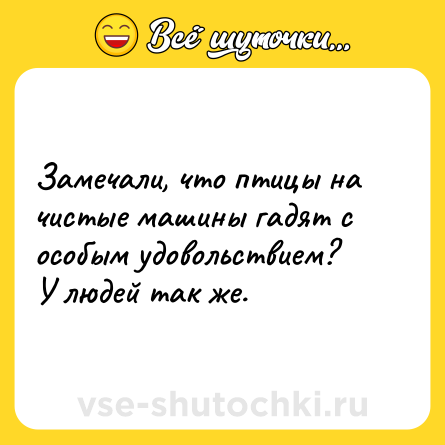 Шутка: Замечали, что птицы на чистые машины гадят с особым удовольствием?<br>У людей так же.